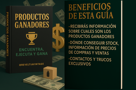 Guía de Productos Ganadores y Stock